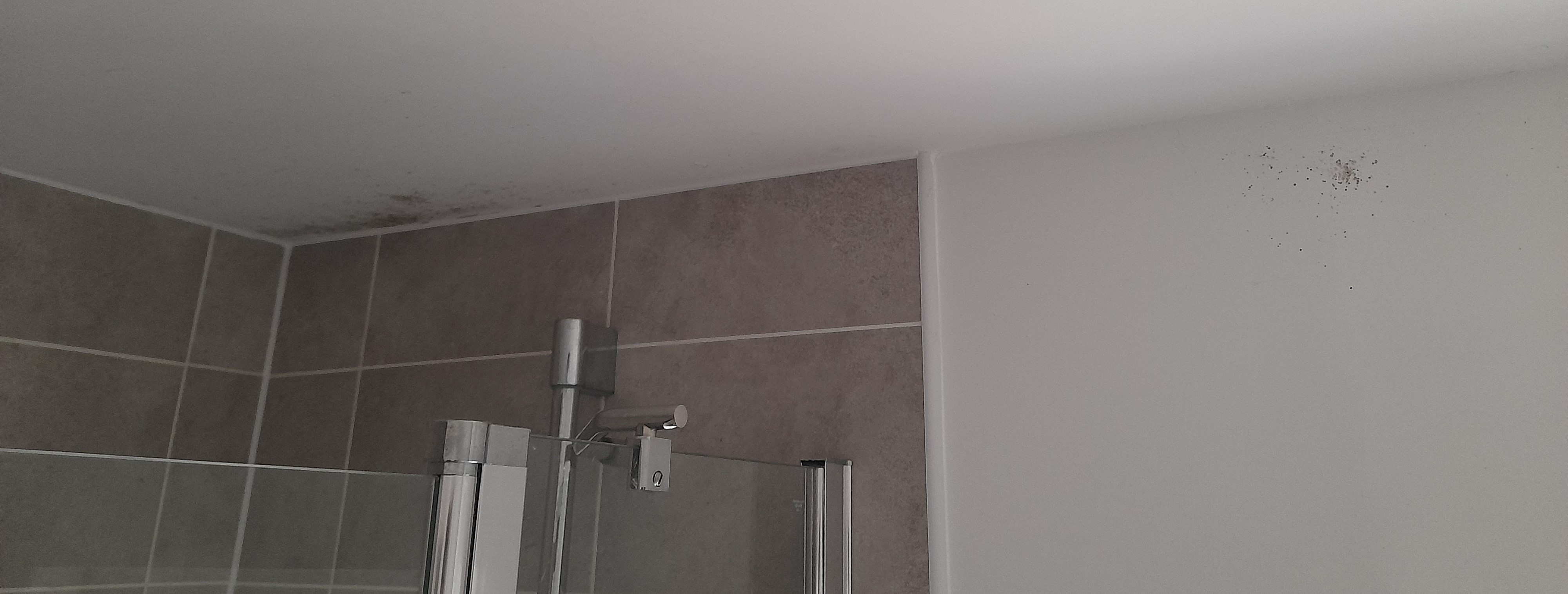 Fig. 2: Mould in bathroom