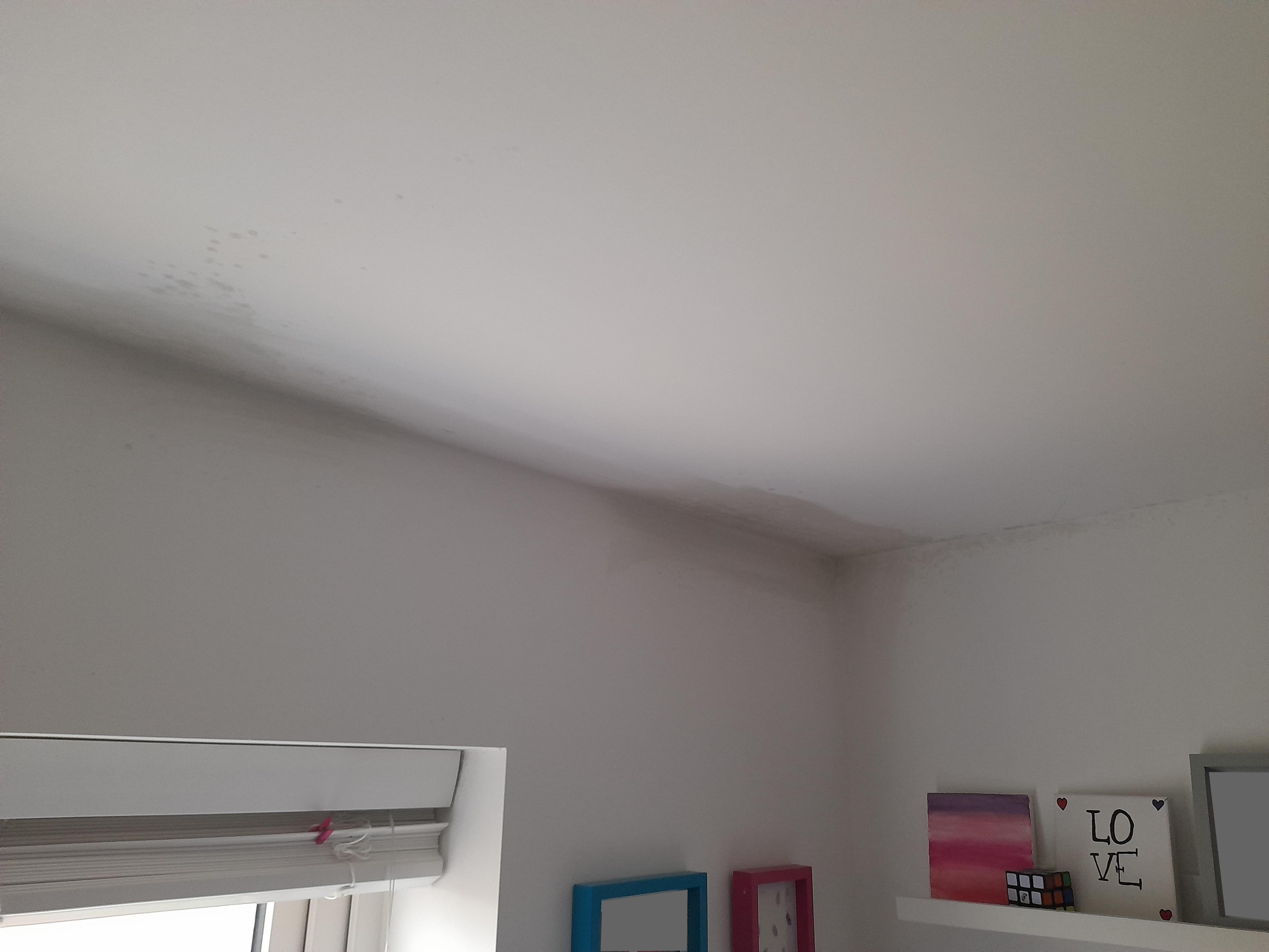 Fig. 1: Mould in a bedroom. This is after significant cleaning, but the extent is obvious.